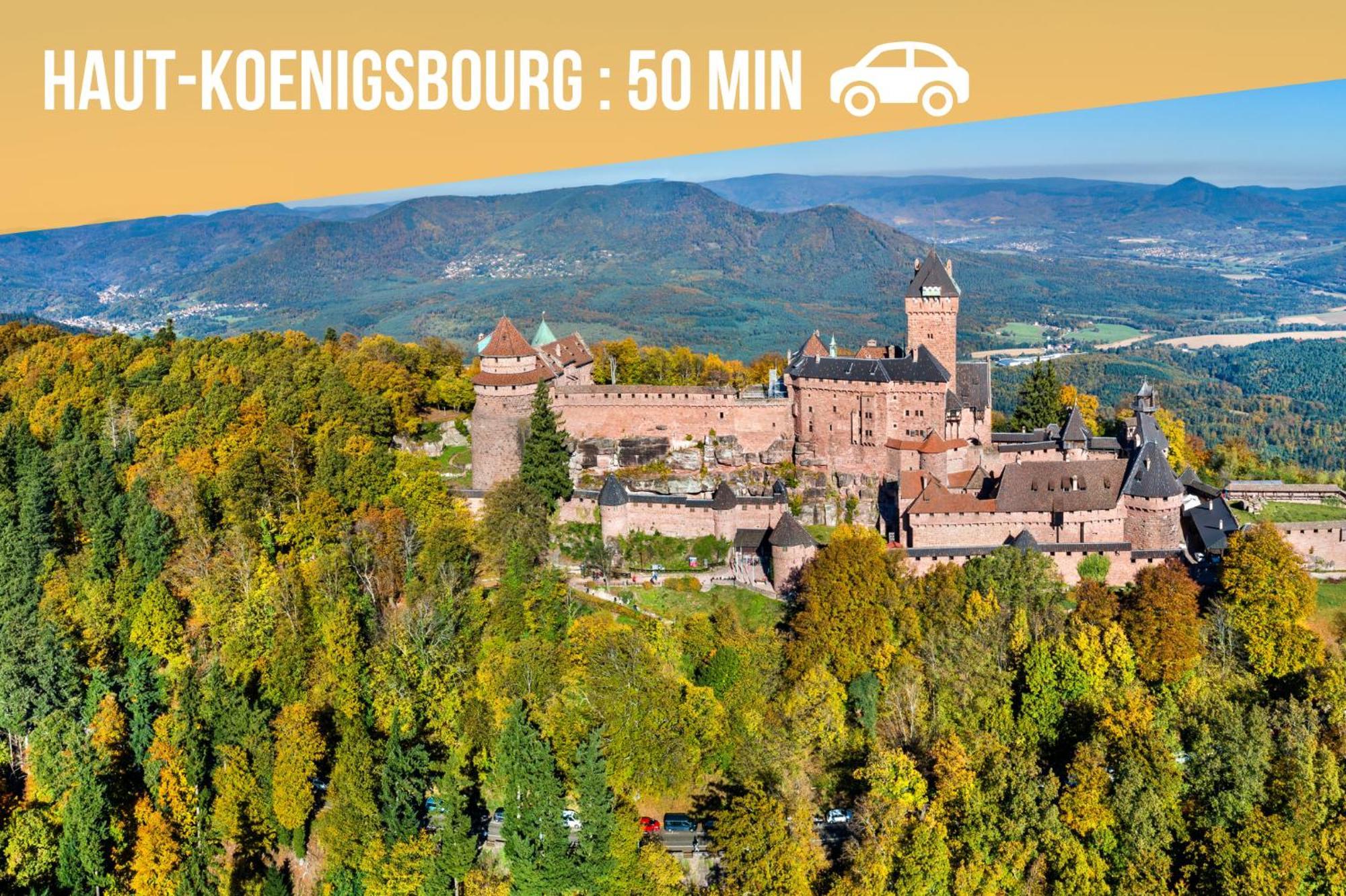 Lit Rond Tres Grand Et Confortable - Garage Possible Ou Parking Gratuit Rue - Gare 2 Min Et Ville 4 Min En Tram - Ciel Etoile - Netflix Videoprojecteur - Luxe Et Evasion Estrasburgo Exterior foto